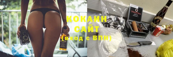 дживик Михайловск