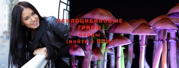 ГАЛЛЮЦИНОГЕННЫЕ ГРИБЫ Анжеро-Судженск