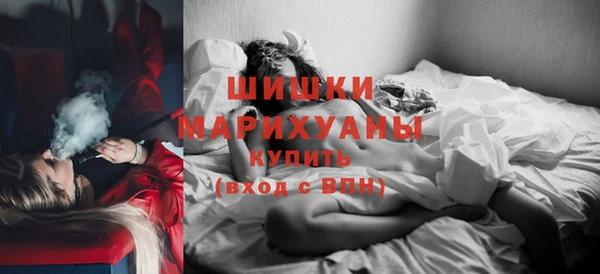 сатива Сясьстрой