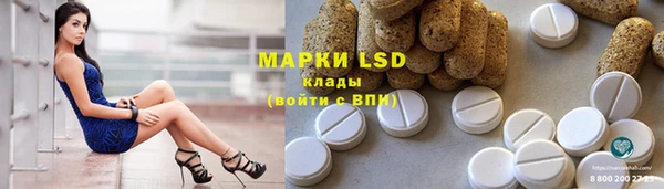 mdpv Волоколамск