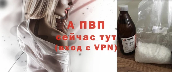 твердый Михайлов