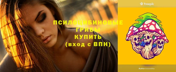 дживик Михайловск