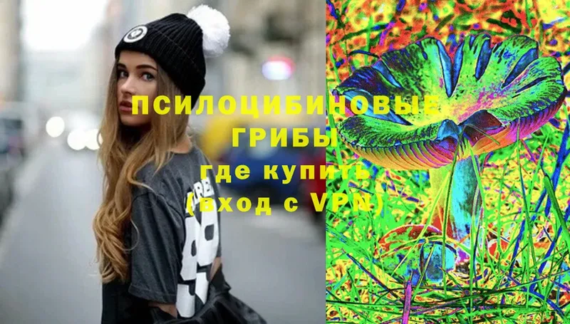 Галлюциногенные грибы Psilocybe  купить   Данилов 